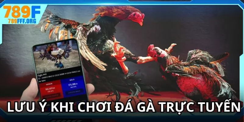 Điểm quan trọng cần nắm vững khi áp dụng bí kíp đặt cược đá gà online