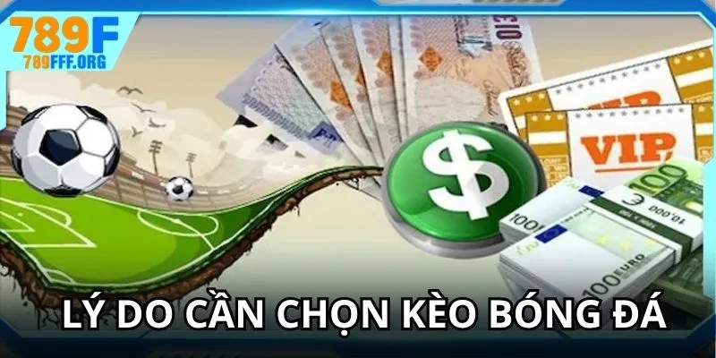 Lý do hội viên cần biết cách chọn kèo thể thao trực tuyến